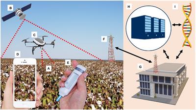 The Viral Threat in Cotton: How New and Emerging Technologies Accelerate Virus Identification and Virus Resistance Breeding